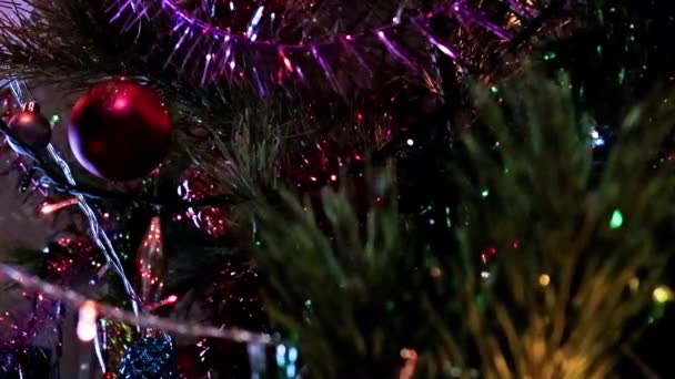 Noel Ağacının Dallarında Güzel Bir Bayram Süsü — Stok video