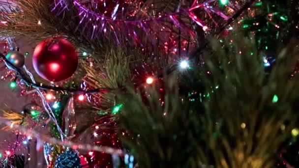 Gyönyörű Ünnep Dekorációk Ágak Karácsonyfa — Stock videók