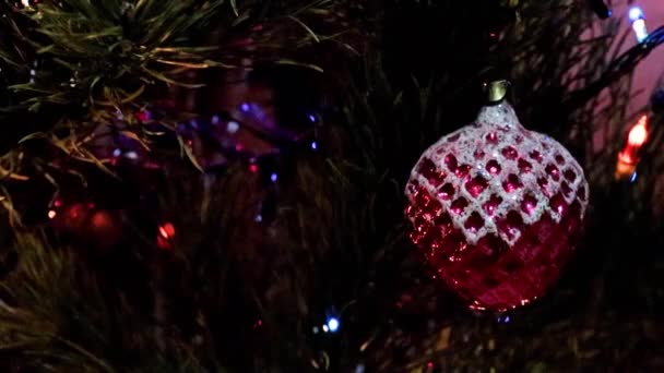 Beautiful Holiday Decorations Branches Christmas Tree — Stock Video