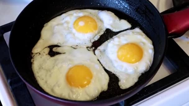 Приготовление Идеального Омлета Завтрака — стоковое видео