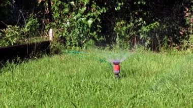Çimleri sulamak için plastik su püskürtücü.