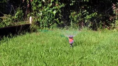 Çimleri sulamak için plastik su püskürtücü.