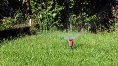 Çimleri sulamak için plastik su püskürtücü.