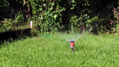 Çimleri sulamak için plastik su püskürtücü.