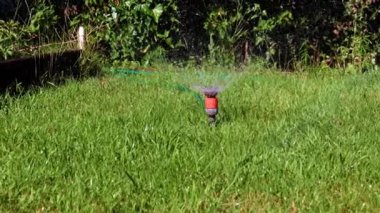 Çimleri sulamak için plastik su püskürtücü.