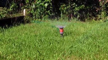 Çimleri sulamak için plastik su püskürtücü.