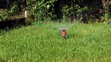 Çimleri sulamak için plastik su püskürtücü.