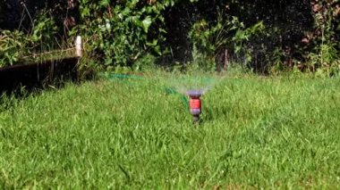 Çimleri sulamak için plastik su püskürtücü.