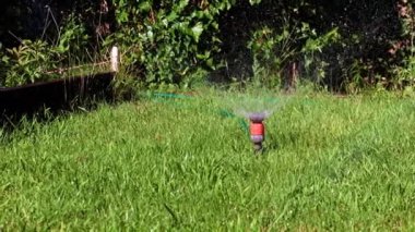 Çimleri sulamak için plastik su püskürtücü.