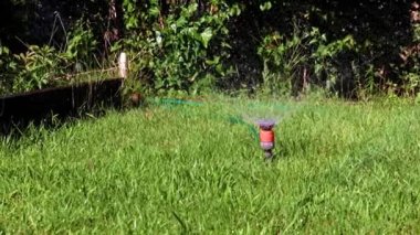 Çimleri sulamak için plastik su püskürtücü.