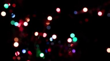 Parkyollarındaki parlak kırmızı laleler