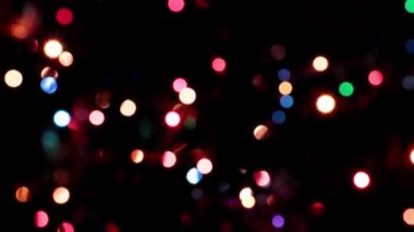 Parkyollarındaki parlak kırmızı laleler