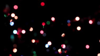 Parkyollarındaki parlak kırmızı laleler