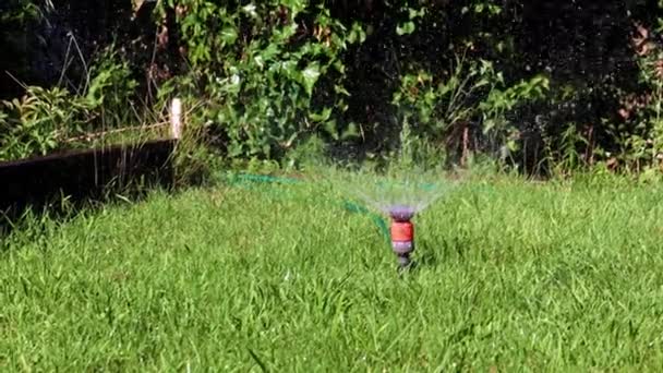 Kunststoff Wassersprüher Zur Bewässerung Von Rasen Gartengrundstück — Stockvideo