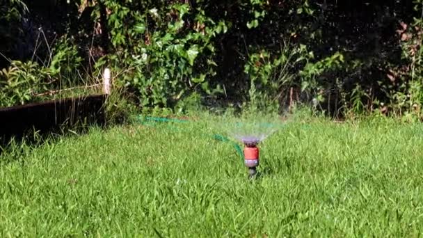 Plastikowy Zraszacz Wody Podlewania Trawnika Działka Ogrodowa — Wideo stockowe