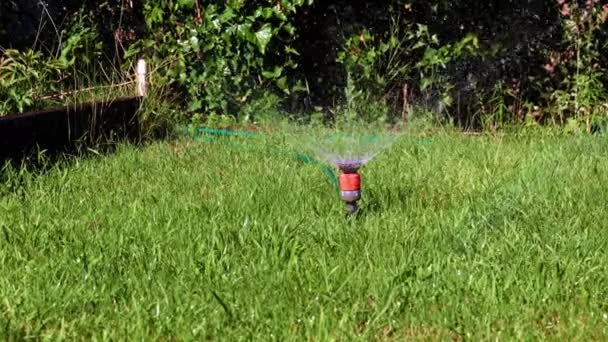 Spruzzatore Acqua Plastica Innaffiare Erba Prato Giardino Trama — Video Stock