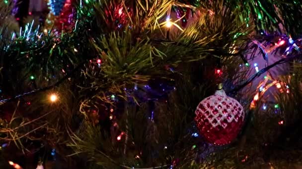 Weihnachtsbaumschmuck Auf Den Zweigen Einer Festlich Beleuchteten Tanne — Stockvideo