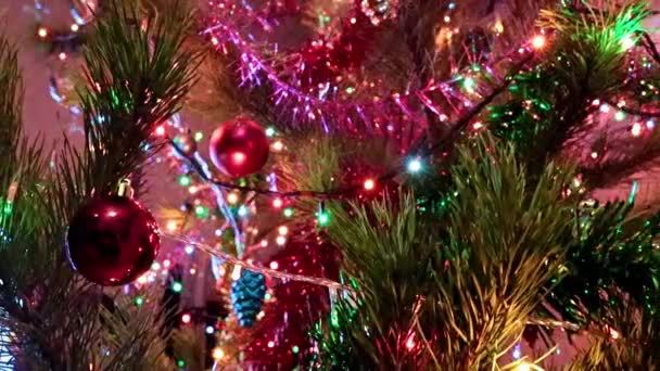 Декорации Рождественских Елок Ветвях Праздничной Осветленной Сосны — стоковое видео