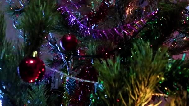 Χριστουγεννιάτικες Διακοσμήσεις Δέντρων Στα Κλαδιά Ενός Φωτισμένου Πεύκου — Αρχείο Βίντεο