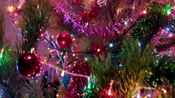 Noel Ağacı Süslemeleri Şenlikli Bir Çam Ağacının Dallarında — Stok video