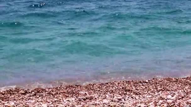 Małe Fale Piaszczysta Plaża Jako Miejsce Aktywnego Wypoczynku — Wideo stockowe