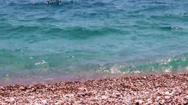 Aktif Eğlence Için Küçük Dalgalar Kumlu Bir Sahil — Stok video