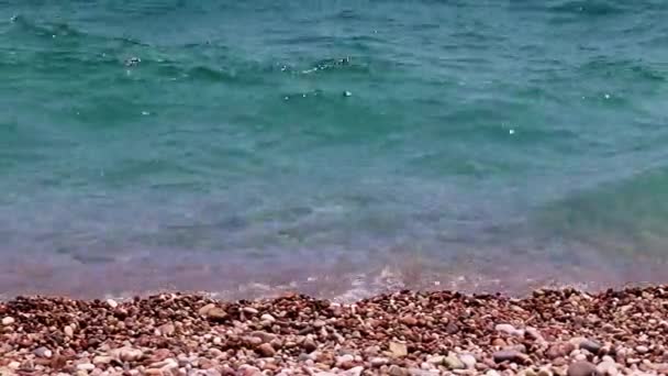 Małe Fale Piaszczysta Plaża Jako Miejsce Aktywnego Wypoczynku — Wideo stockowe