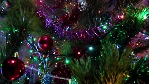 松の枝に輝くクリスマスの飾り — ストック動画