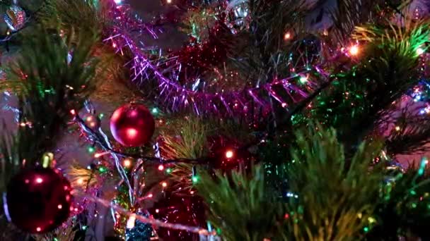 Funkelnder Weihnachtsschmuck Den Tannenzweigen — Stockvideo