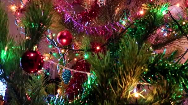 Sparkling Christmas Decorations Pine Branches — Stock Video
