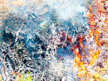 Parlak alevler ve mavi duman bir orman yangınının parçasıdır.