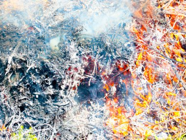 Parlak alevler ve mavi duman bir orman yangınının parçasıdır.