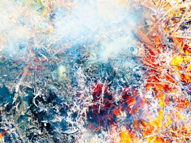 Parlak alevler ve mavi duman bir orman yangınının parçasıdır.