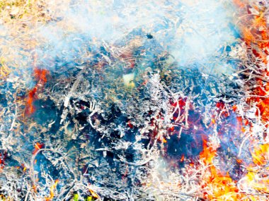 Parlak alevler ve mavi duman bir orman yangınının parçasıdır.