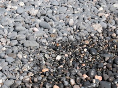 Deniz kıyısındaki kayalarda küçük bir kelebek oturuyor.