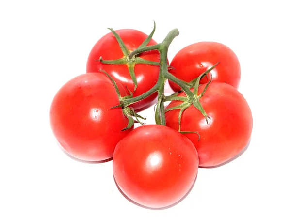 Dojrzałe Świeże Pomidory Jako Część Drobnych Upraw — Zdjęcie stockowe