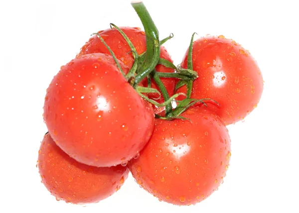 Reife Frische Tomaten Als Teil Einer Feinen Ernte — Stockfoto