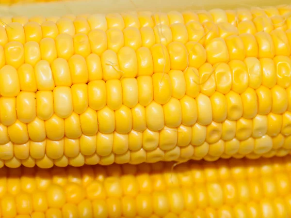 Large Grains Cooked Corn Cob Morning Breakfast — Stock Photo, Image