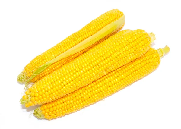 Ears Ripe Fresh Corn Beautiful Summer Vegetable — Stock Photo, Image