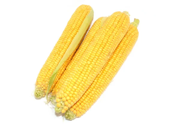 Ears Ripe Fresh Corn Beautiful Summer Vegetable — Stock Photo, Image