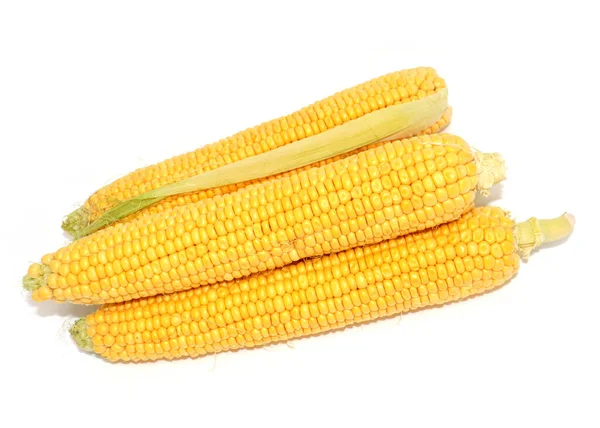 Вуха Стиглої Свіжої Кукурудзи Красивий Літній Овоч — стокове фото