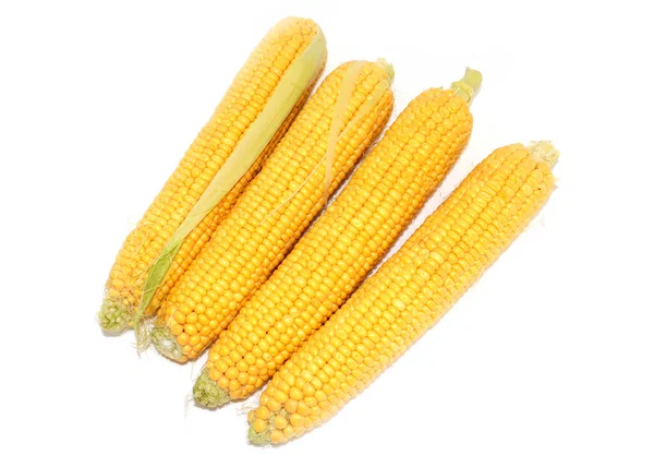 Fülek Érett Friss Kukorica Mint Egy Gyönyörű Nyári Zöldség — Stock Fotó