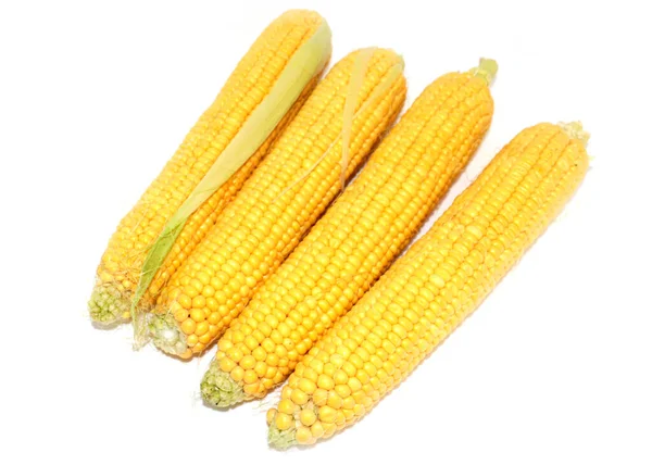 Ears Ripe Fresh Corn Beautiful Summer Vegetable — Stock Photo, Image
