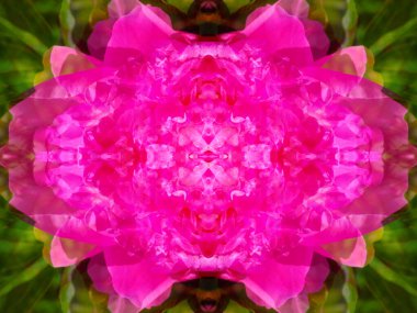 bir kaleydoskopta bir nesneyi fotoğraflayarak simetrik soyut arkaplan oluşturuldu