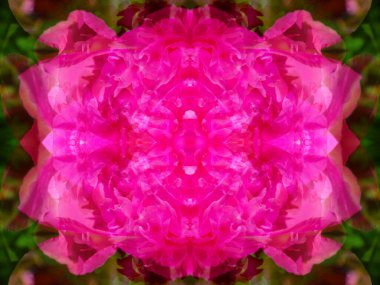 bir kaleydoskopta bir nesneyi fotoğraflayarak simetrik soyut arkaplan oluşturuldu