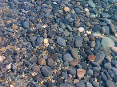 Bir çakıl taşı plajının yüzeyi ve berrak deniz suyu dalgaları.