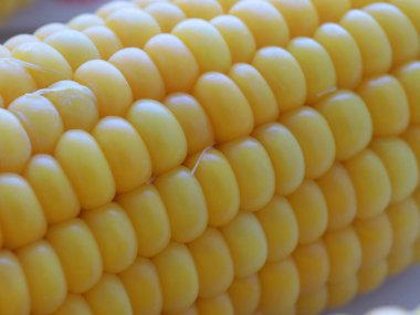 Nefis olgun mısır koçanları yemek için hazırlanır.