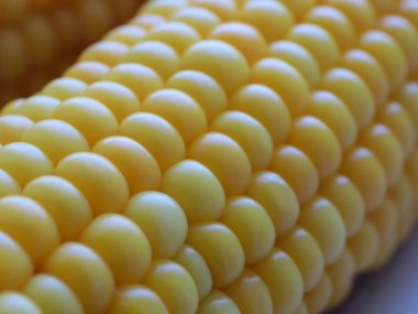 Nefis olgun mısır koçanları yemek için hazırlanır.