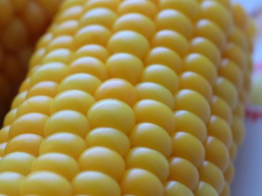 Nefis olgun mısır koçanları yemek için hazırlanır.