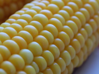 Nefis olgun mısır koçanları yemek için hazırlanır.